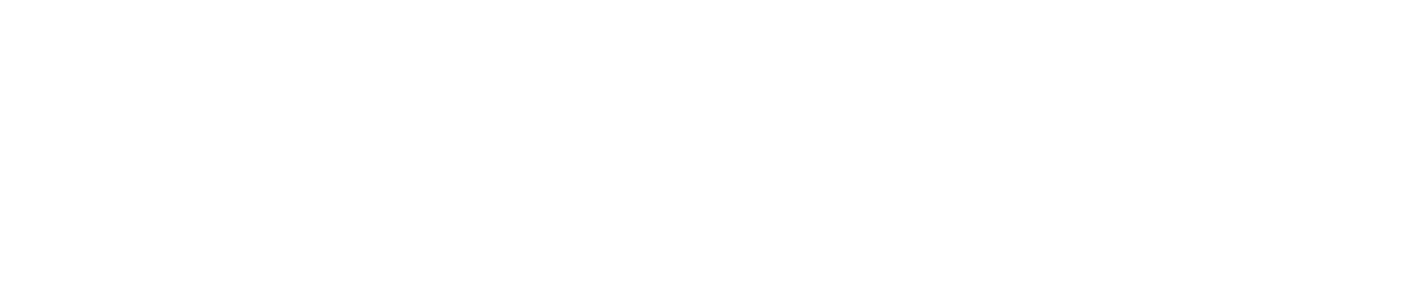 Lorenzo – Agencia de Software